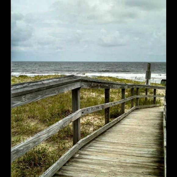 Meet your Posher, Dee dee - Picture 1 of 1